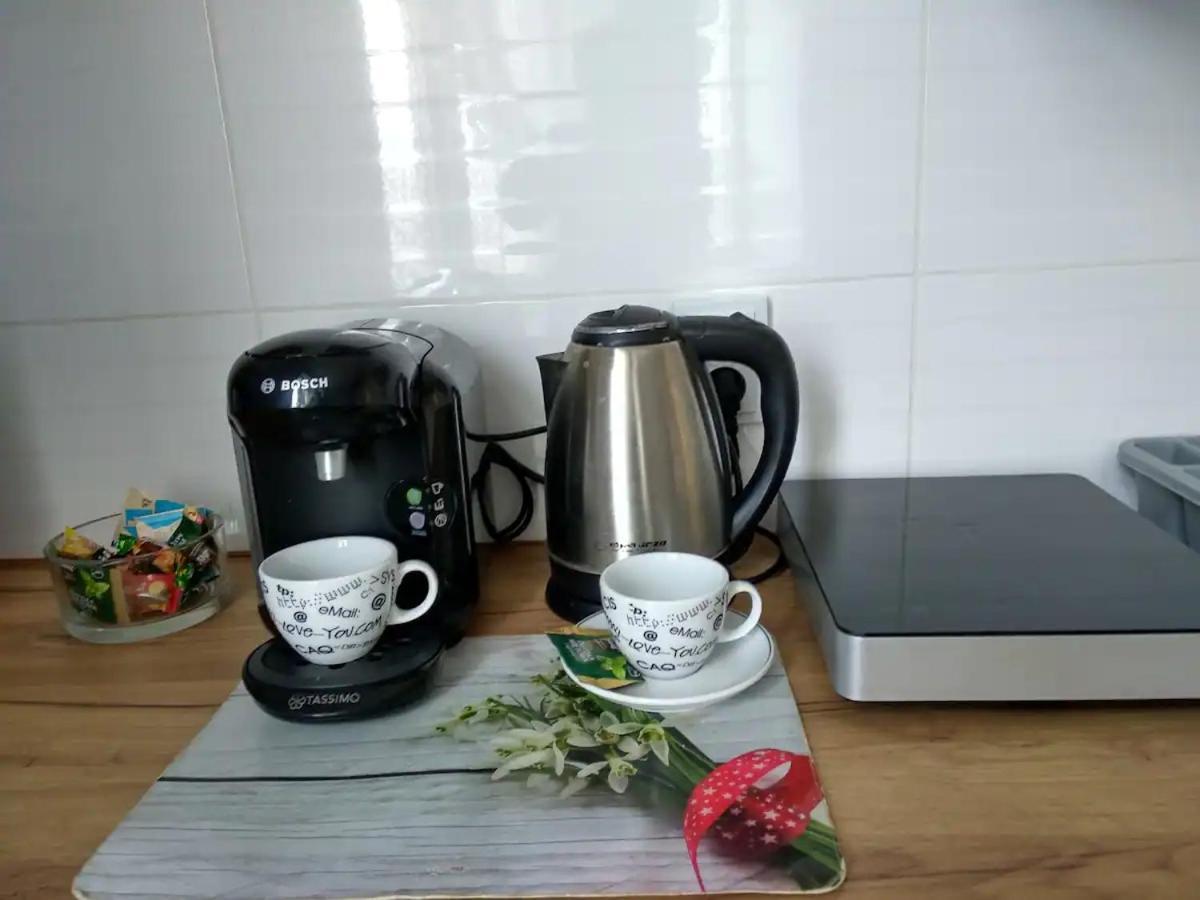 Apartament Przy Synagodze Przemyśl Kültér fotó